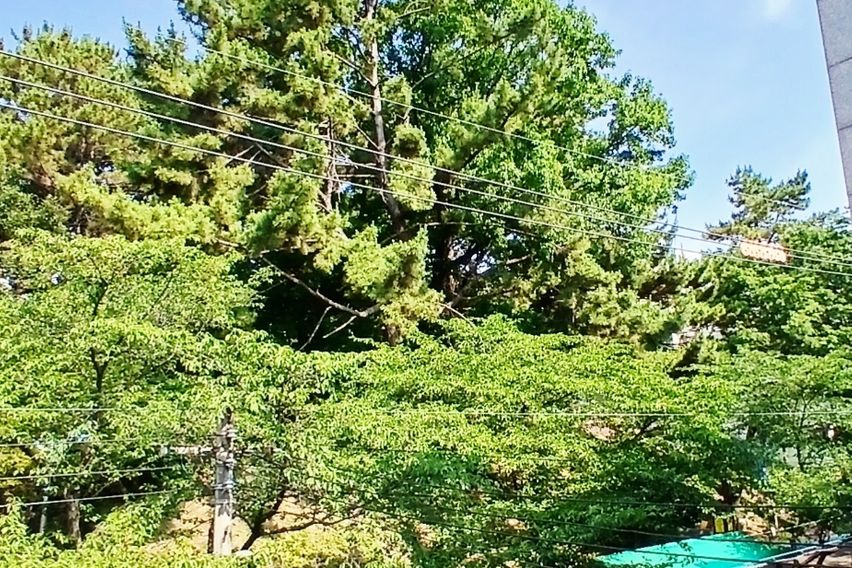 33 Busan University of Foreign Studies Dormit 0th image