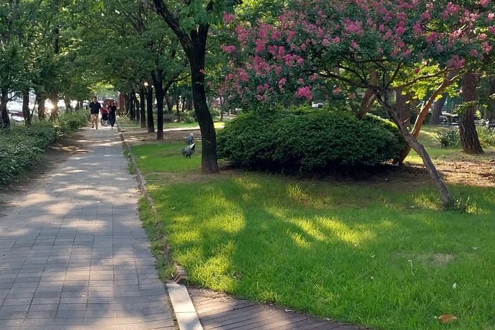 유성온천역2분 썬하우스 15번째 이미지