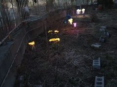 파주 연풍리 꽃동405 15번째 이미지
