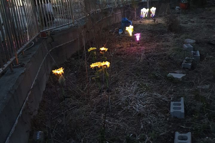 파주 연풍리 꽃동405 15번째 이미지
