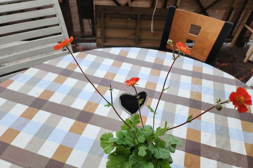 깅화도. 오션뷰 펜션 