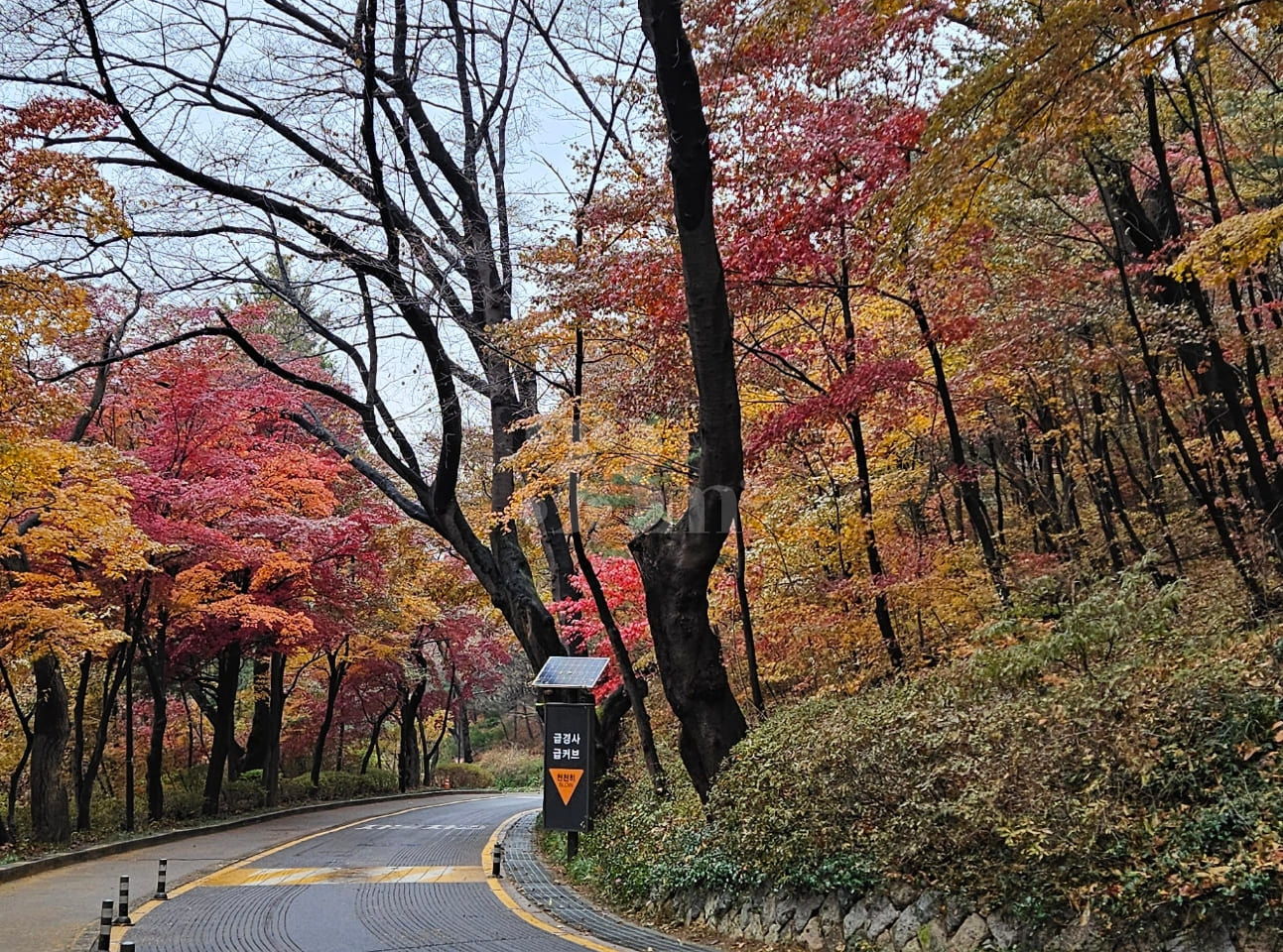 Namsan Pine / 28 pyeong 15th image