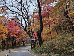 남산소나무 /28평 15번째 이미지