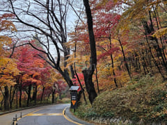 Namsan Pine / 28 pyeong 15th image