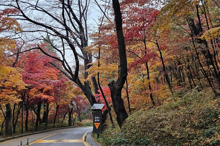 남산소나무 /28평 15번째 이미지