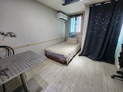 충대/성모병원/야구 2 13번째 이미지