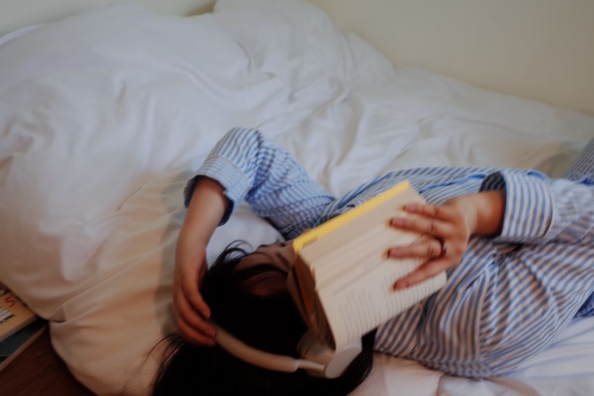 귀여운 투룸🫧반려동물 7번째 이미지