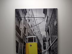[성수기]올레시장 근처 8번째 이미지
