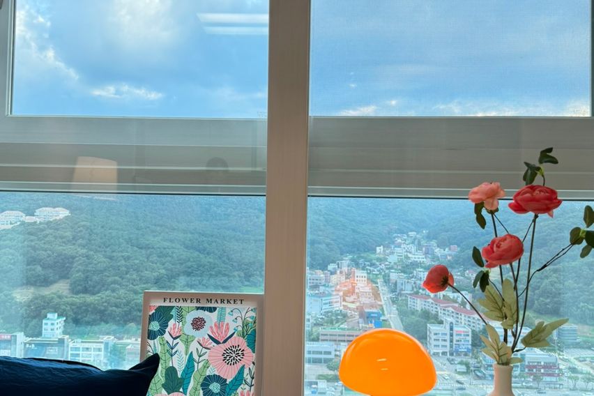 오렌지 향기 분당