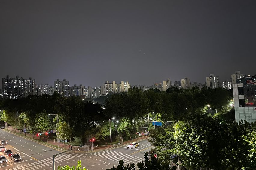 평촌 한림대 숲속의아침