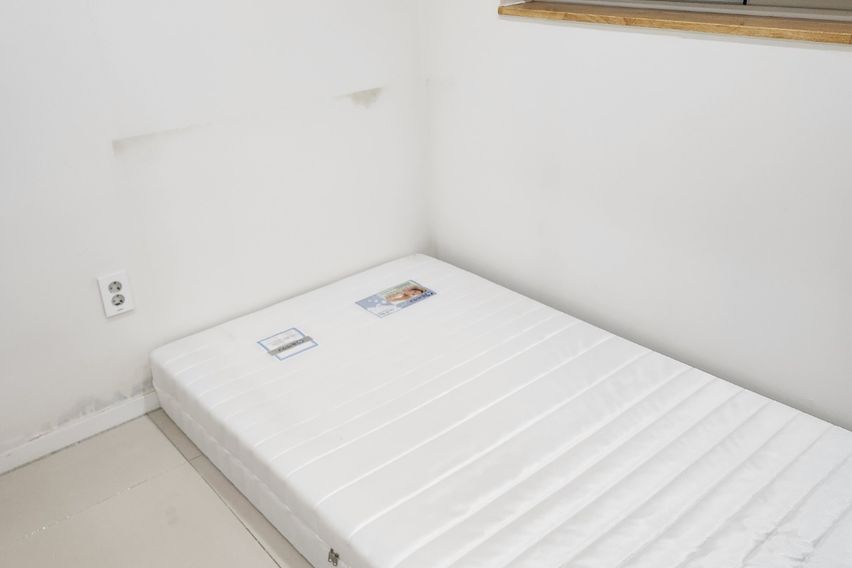 더숨풀옵1.5룸♡335