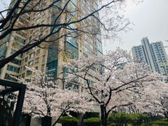 잠실 하이앤드 갤러리아 0번째 이미지