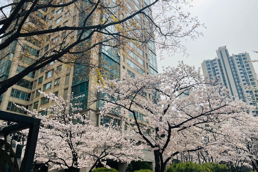 잠실 하이앤드 갤러리아 0번째 이미지