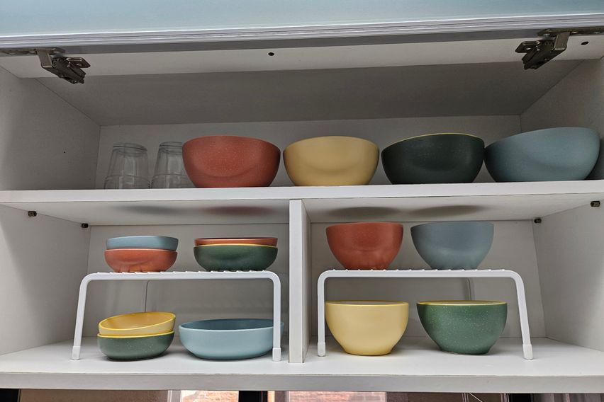 반려동물좋아요.