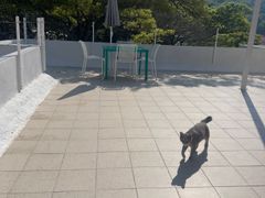 소나무방 6번째 이미지