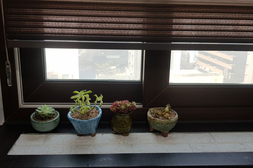 유성온천역 1분거리 