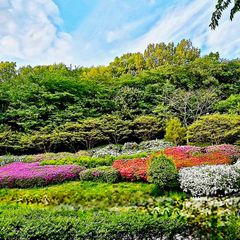 산속 자연과 새소리안전 방 이미지