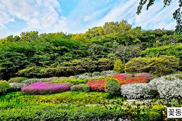 산속 자연과 새소리안전