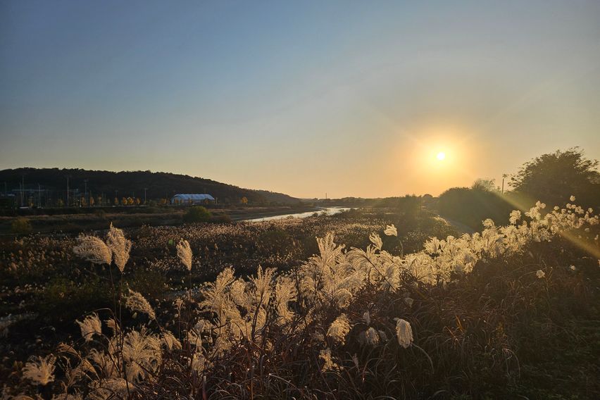금릉역 야당역사이풀옵션