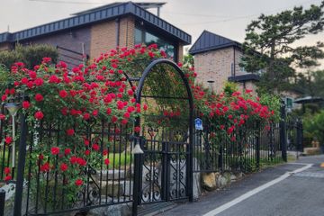 중암힐링102동