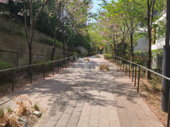 Modern duplex in Hannam-dong 12th image