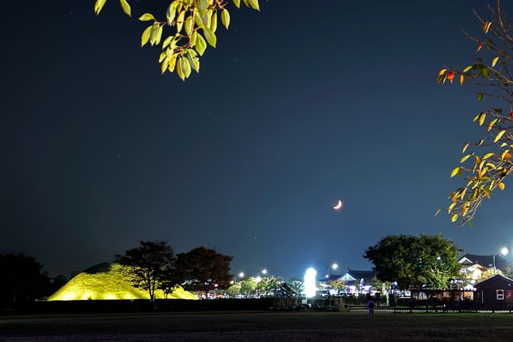 황리단 도보2분숙소 17번째 이미지