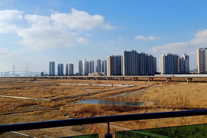 송도 인천대 입구 B 9번째 이미지