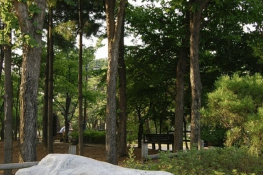 봄특가 김포공항,마곡 16번째 이미지