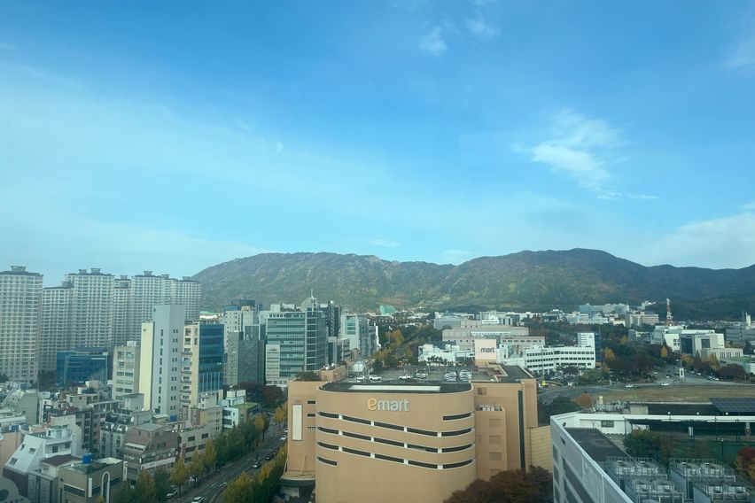 창원 도심1초 심플🍎