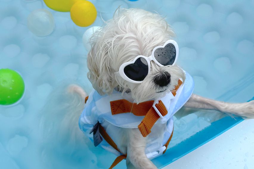 광안리오션뷰 단독테라스 7번째 이미지