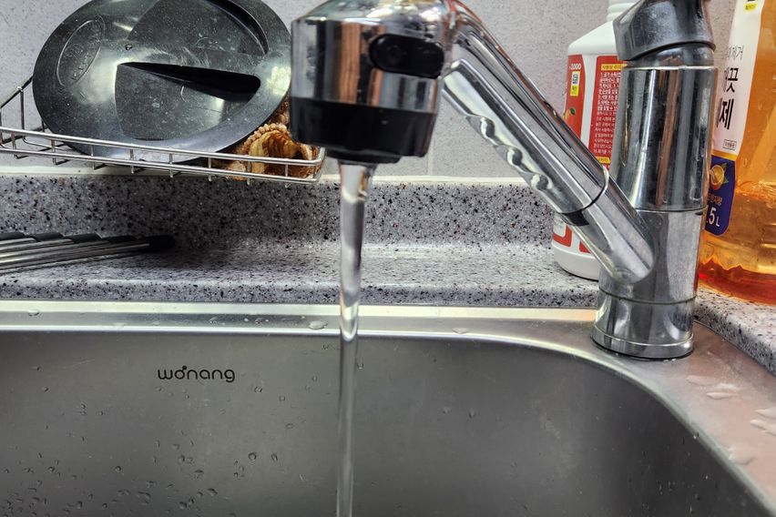 애견가능노은역수퍼풀옵션