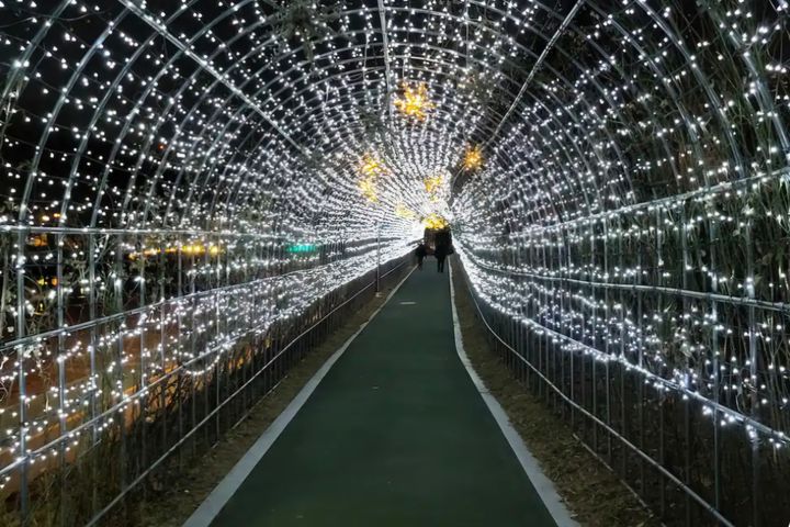 벚꽃양재카페공원 바로앞 2번째 이미지