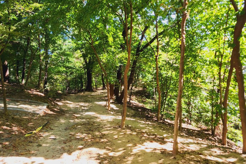 🧸조용하고 아늑한 방