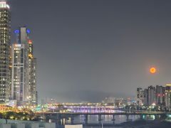 A태화강국가정원 담은집 17번째 이미지