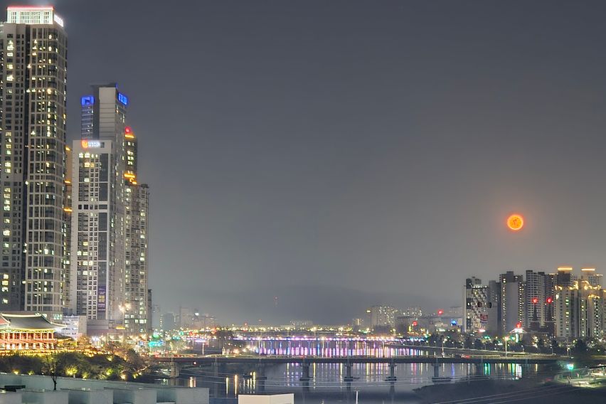 A태화강국가정원 담은집 13번째 이미지