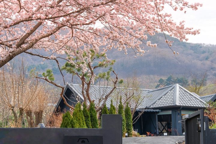 경주산내펜션 6번째 이미지