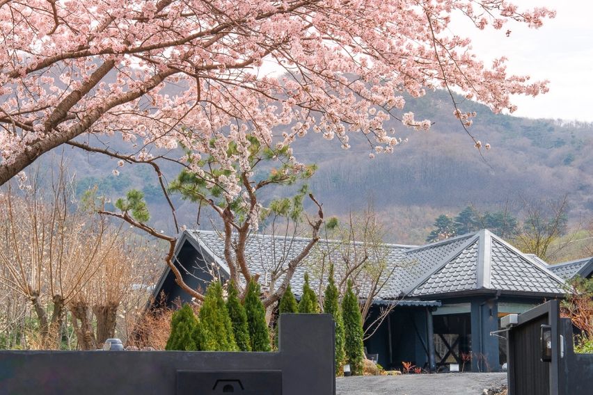 경주산내펜션 0번째 이미지
