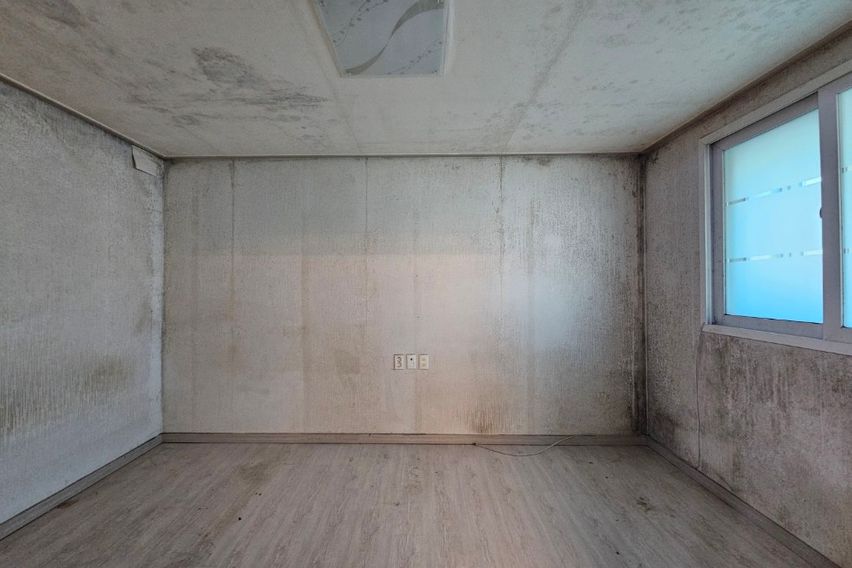 가성비 끝판왕 3번째 이미지