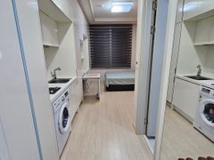 오드투500 10번째 이미지