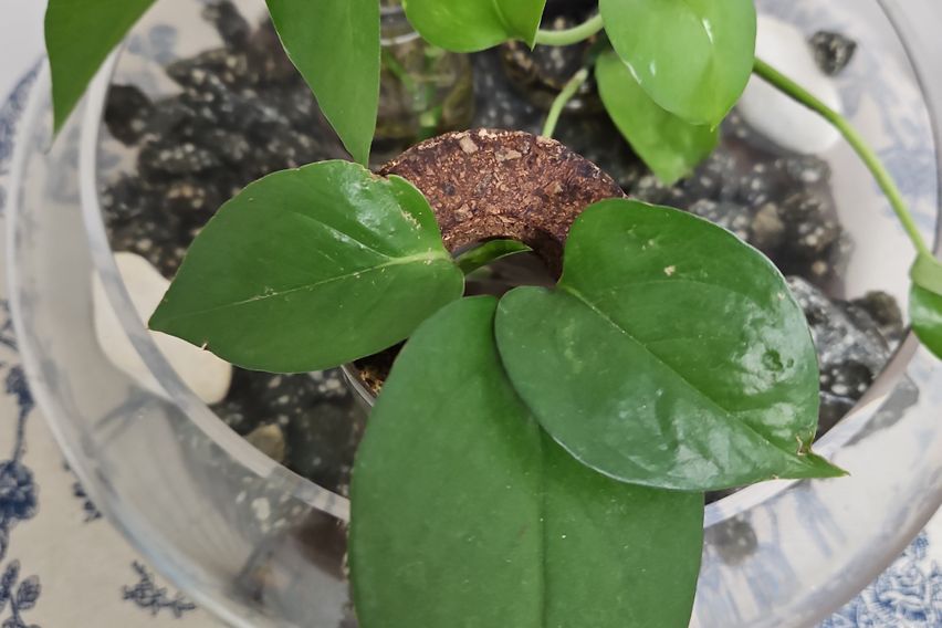 광안리바닷가5분무료주차 11번째 이미지