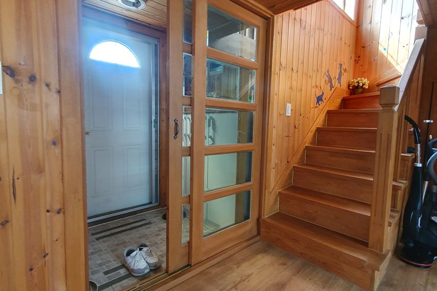 프리지아 5번째 이미지