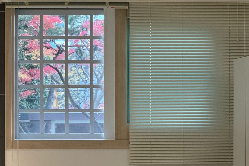 봉선,주월,백운 신홈🧡