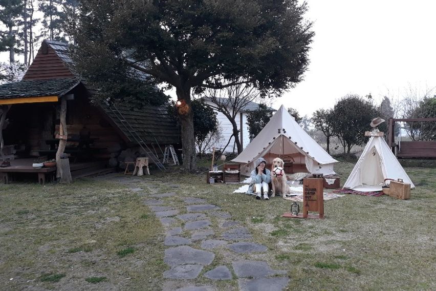 애월소길리나뭇잎사이로