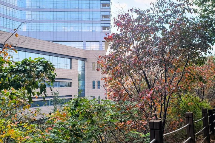 ④중앙대병원광명역풀옵션 16번째 이미지