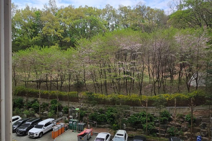 오전동 네이쳐하우스  12번째 이미지
