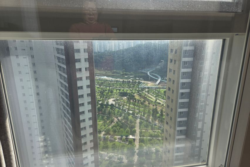 동탄역 여울공원유림