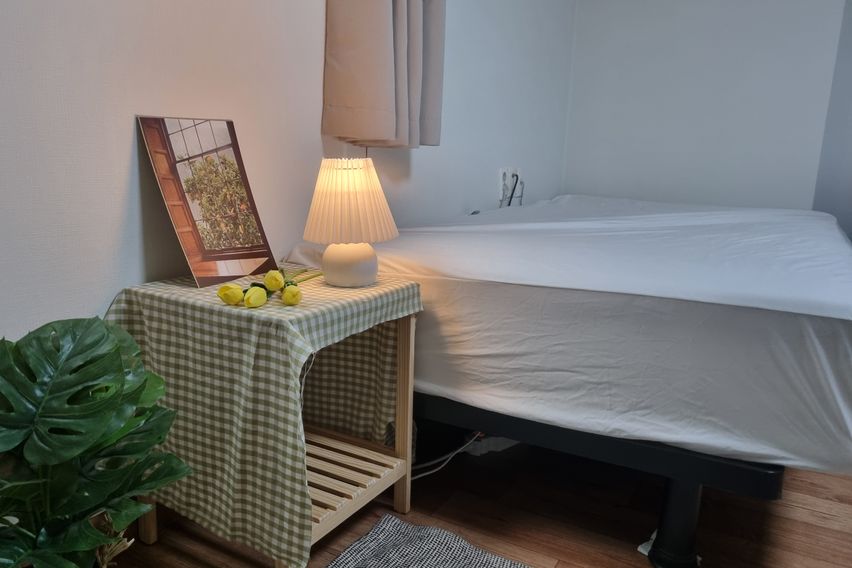 🌳계대룸룸🌸