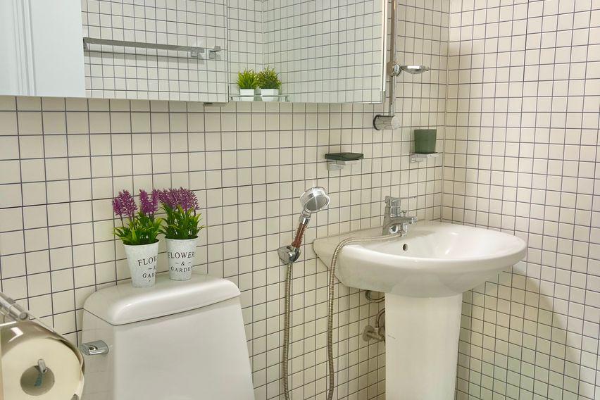 선샤인 스테이 14번째 이미지