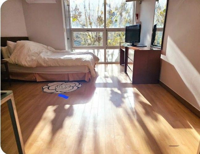 강남 한가운데 0번째 이미지