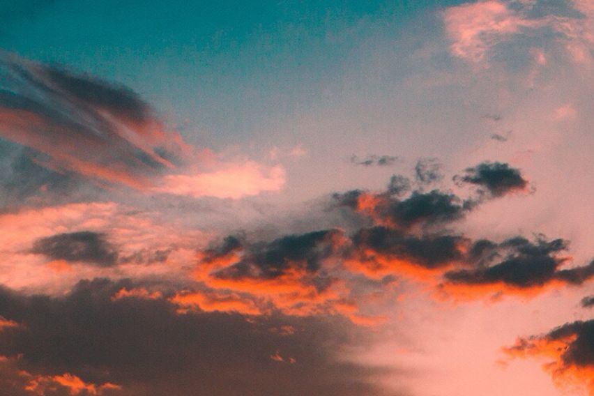 신사역 도보5분